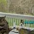 The OIIA Cat Goes On A Date Memes