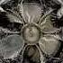 Nightwish The Heart Asks Pleasure First Instrumental