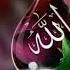 Allahuakbar Allahuakbar