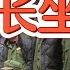 中国公安局长的情人们有多猖狂 暴打军人还能全身而退 实在飞扬跋扈 从良女性更珍惜家庭 是块宝 中国 政治 经济 揭秘 中共 军人