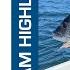 2023 BREAM Australian Open Steve Morgan Day 2