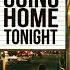 David Guetta Alesso Never Going Home Tonight Feat Madison Love Instrumental