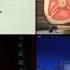 Every Piggy Tales Episodes At The Same Time Part 5