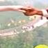 Poovullo Dagunna Song Lyrics Jeens Prashanth Iswaryaroi Dimplik Official