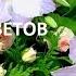 РОЗЫ и КЛЕМАТИСЫ ИДЕАЛЬНАЯ ПАРА СОЧЕТАНИЕ ЦВЕТОВ ПРАВИЛЬНАЯ посадка Требование к уходу САД
