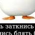 заткнись заткнись