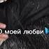 О моей любви Santiz