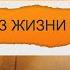 Из жизни насекомых басню Влада Маленко читает актриса театра Ксения Зиновьева