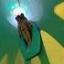 World Fastest And Longest Water Slide Shortsvideo