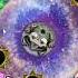 Zuma Deluxe Black Space Game Over