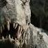 Vastatosaurus Rex Of Evolution Short Evolution