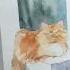 Watercolor Speed Painting Ginger Cat Акварельный рыжий кот Пошаговое рисование