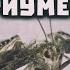 Аквариумные бабочки Травяные огнёвки Clever Cricket