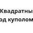 Спанч Боб Квадратные Штаны Блоха под куполом 5 10 01
