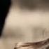 Denis Kenzo Alexandra Badoi More Time Original Mix