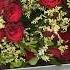 МИЛЛИОН РОЗ ДЛЯ YOUTUBE Valentinesday Secretmaterials