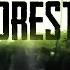 The Forest Cassette 5 Walkthrough Ourdated