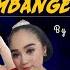LIVE CALUNG LENGGER BANYUMASAN CAMPURSARI KEMBANGE JAGAD KARANG NANAS SOKARAJA BANYUMAS