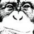 Young Jeezy Ft Bone Crusher Take It To Da Floor Munkey Remix