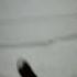 звуки зимы хруст детства шаги по снегу Snow Winter Shorts