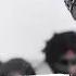 Border Movie Short Status Song Sunny Deol Akshay Khanna Sunil Shetty Etc