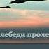 ИГОРЬ ФИЛАТОВ ТОЛЬКО ЛЕБЕДИ ПРОЛЕТАЛИ