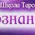 Общий расклад Что он чувствует ко мне Таролог Мария Энерай