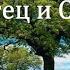 Притчи о жизни Отец и сын