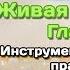 Евгений Агафонов Видео книга Живая Пища 1 Глава 11 Видео 141