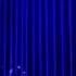 How Deep Is Your Love Live On Jimmy Fallon