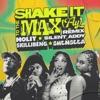 Shake It To The Max (FLY) [Remix]